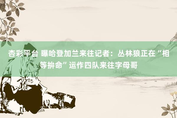 杏彩平台 曝哈登加兰来往记者：丛林狼正在“相等拚命”运作四队来往字母哥