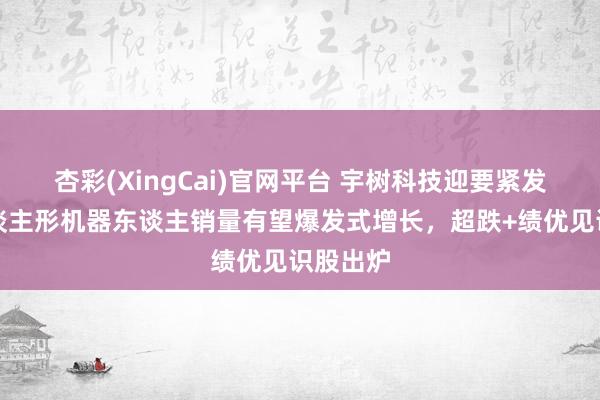 杏彩(XingCai)官网平台 宇树科技迎要紧发达！东谈主形机器东谈主销量有望爆发式增长，超跌+绩优见识股出炉