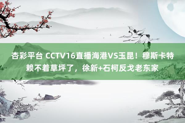 杏彩平台 CCTV16直播海港VS玉昆！穆斯卡特赖不着草坪了，徐新+石柯反戈老东家
