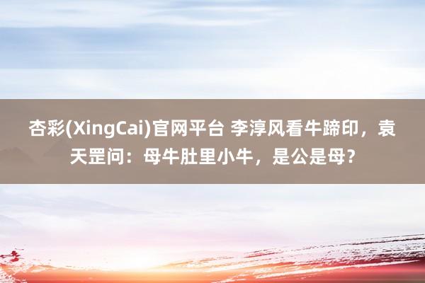 杏彩(XingCai)官网平台 李淳风看牛蹄印，袁天罡问：母牛肚里小牛，是公是母？