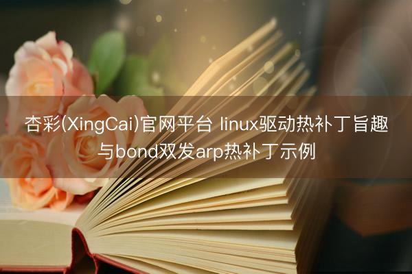 杏彩(XingCai)官网平台 linux驱动热补丁旨趣与bond双发arp热补丁示例