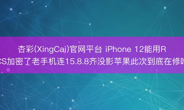 杏彩(XingCai)官网平台 iPhone 12能用RCS加密了老手机连15.8.8齐没影苹果此次到底在修啥