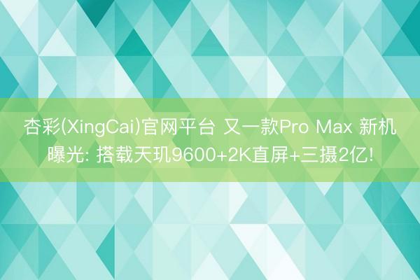 杏彩(XingCai)官网平台 又一款Pro Max 新机曝光: 搭载天玑9600+2K直屏+三摄2亿!