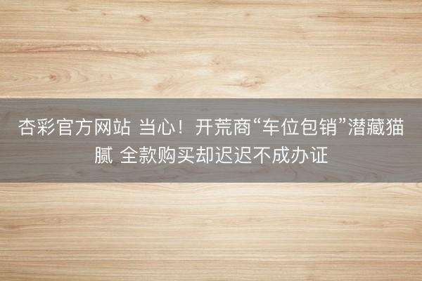 杏彩官方网站 当心！开荒商“车位包销”潜藏猫腻 全款购买却迟迟不成办证