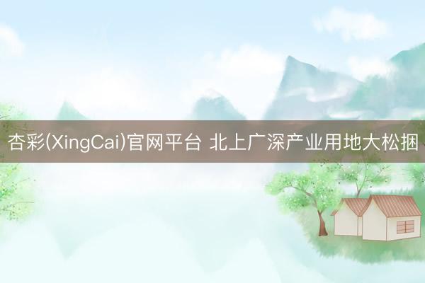 杏彩(XingCai)官网平台 北上广深产业用地大松捆