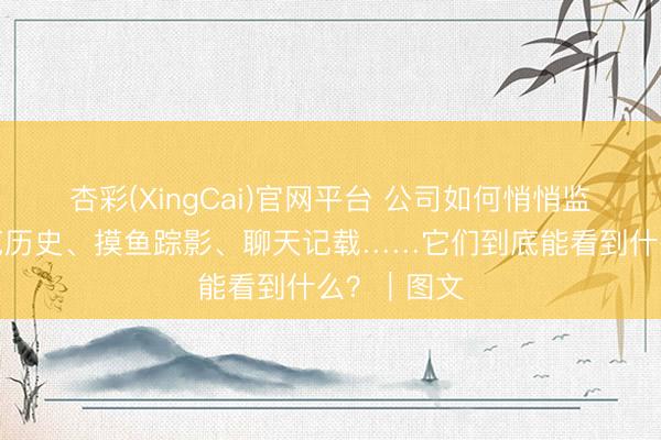 杏彩(XingCai)官网平台 公司如何悄悄监控你？浏览历史、摸鱼踪影、聊天记载……它们到底能看到什么？｜图文