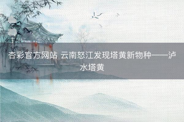 杏彩官方网站 云南怒江发现塔黄新物种——泸水塔黄