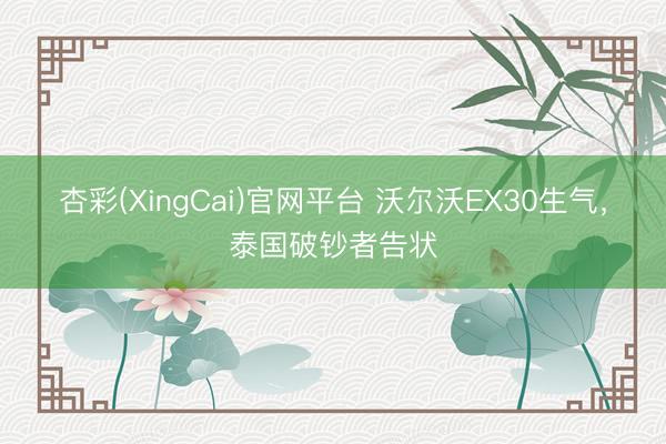杏彩(XingCai)官网平台 沃尔沃EX30生气，泰国破钞者告状