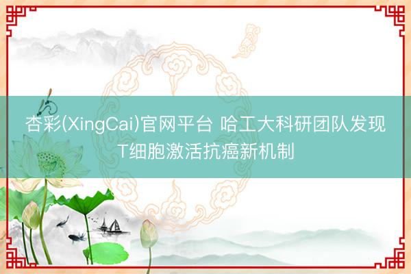 杏彩(XingCai)官网平台 哈工大科研团队发现T细胞激活抗癌新机制