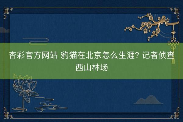 杏彩官方网站 豹猫在北京怎么生涯? 记者侦查西山林场