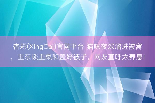 杏彩(XingCai)官网平台 猫咪夜深溜进被窝，主东谈主柔和盖好被子，网友直呼太养息!