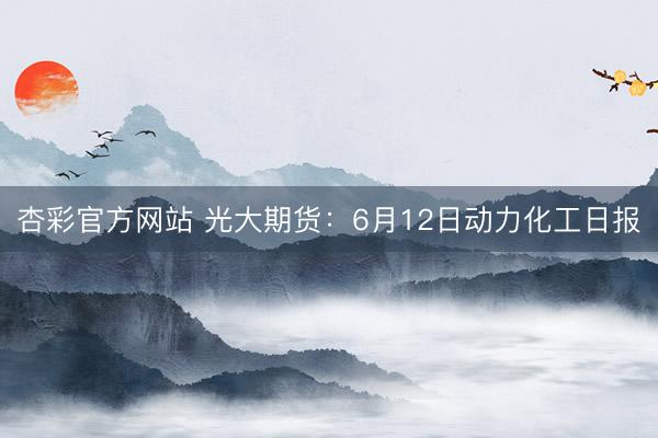 杏彩官方网站 光大期货：6月12日动力化工日报