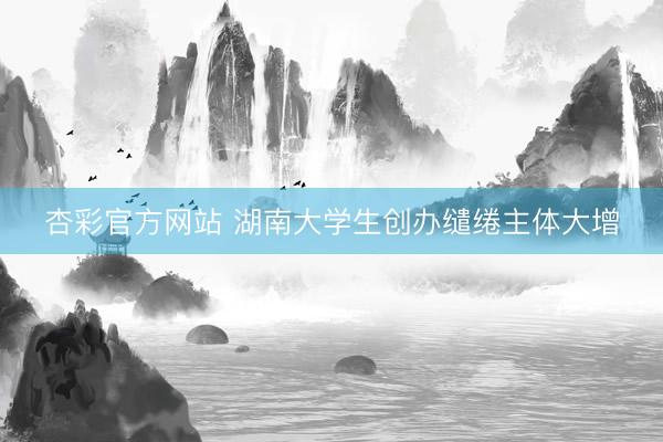 杏彩官方网站 湖南大学生创办缱绻主体大增