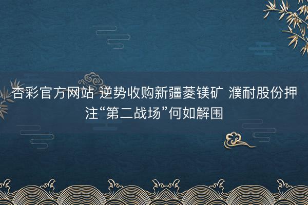杏彩官方网站 逆势收购新疆菱镁矿 濮耐股份押注“第二战场”何如解围